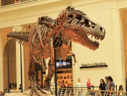 Field Museum of Natural History Ticket & In-App Audio Tour